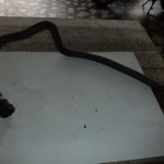 Conducta apa BMW E46 - 64.21-6905914