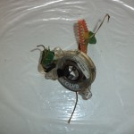 Spirala airbag VOLVO - 6819758